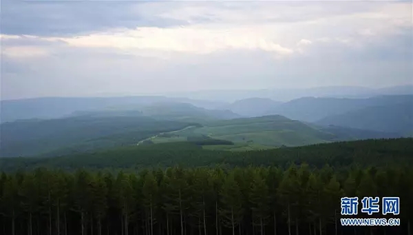 1504517995812503.jpg 3.webp.jpg